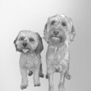 Frankie&Ziggy Updated